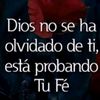 freddycarlos
