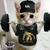 ale_gymrt.04