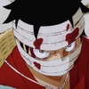 luffy_zo8