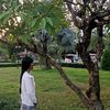 annamary560