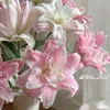 ainhu26042014