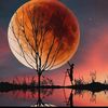 _fernando103