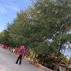 deasysiregar713