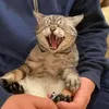 ptttcngd