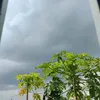 tanbac_namdinh6000