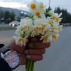 farhadbarwa23