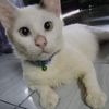babyitemcomel_gembrot