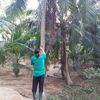mahajoan