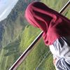 dahfia1