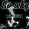 x_lilze_bra