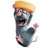 iniaraaaraaaa
