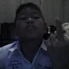 phalux_