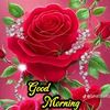 hussain.salem.ll