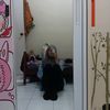 ianiwwwww