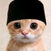 hanzz_17xd7