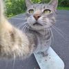 skater_skate