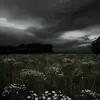 overlinhtinh80