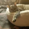 catluvva79