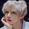 .v.ar.picchi.bow5