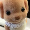 user_cuteb