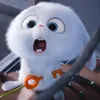 pmphuong_13
