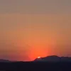 pauli_269