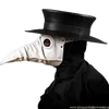 thesalbedo13