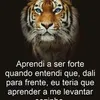 marialuciacinema
