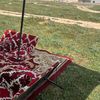 maged.alyosef