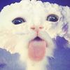 qspacee