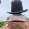 xrydik4