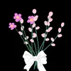 bnt_idlib22