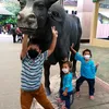 pakcikusen