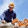Thợ xây tuyệt đỉnh