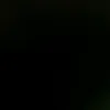 hello_12242828