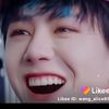 wangyibo811