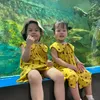bui_vo_cam_hn