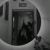daiylifa_12
