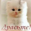 alenaglushkova1976