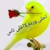 user3235749561709696