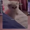 phetdepzai