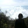 handyco_dananjaya