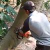 usermasriyanto