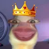 darenpatricio293
