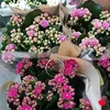 bushra.mohammed1