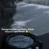storybucin344