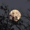 iqra_axd
