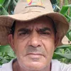 divino774
