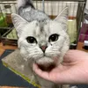 bngcute2211