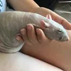 skahaqjkq